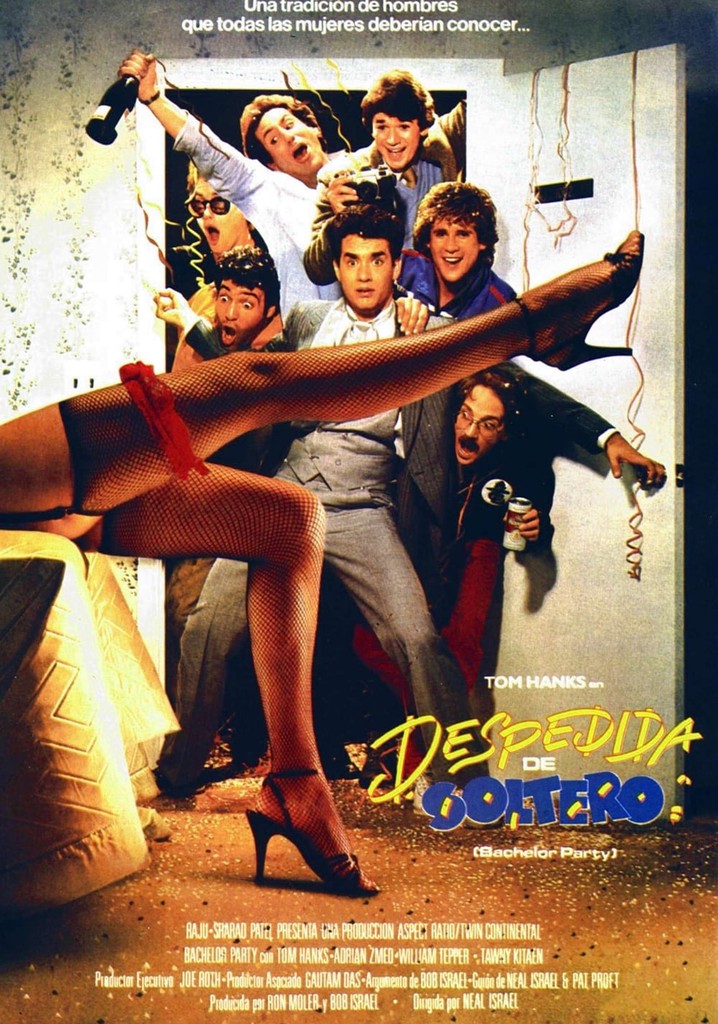 Despedida de soltero película Ver online en español